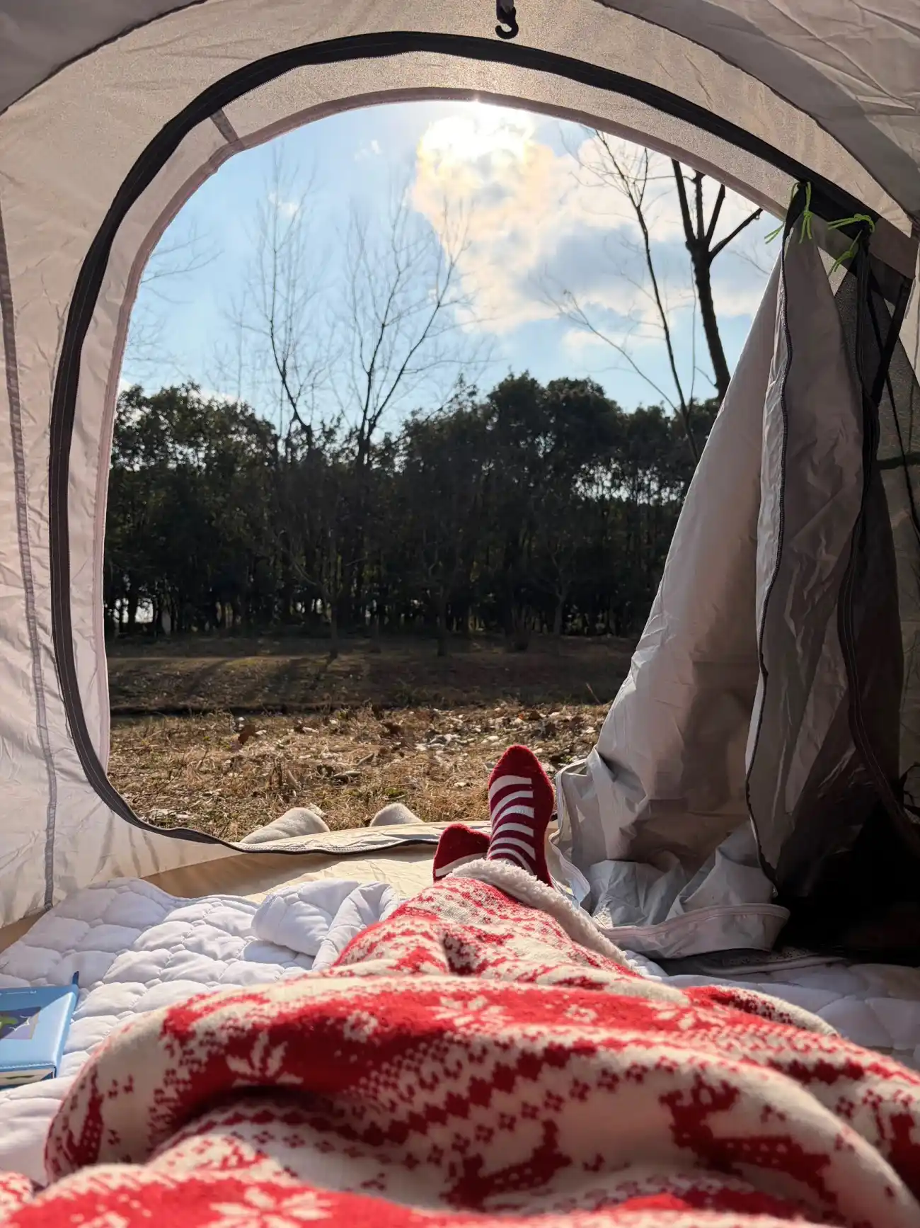 best instant camping tent for sale