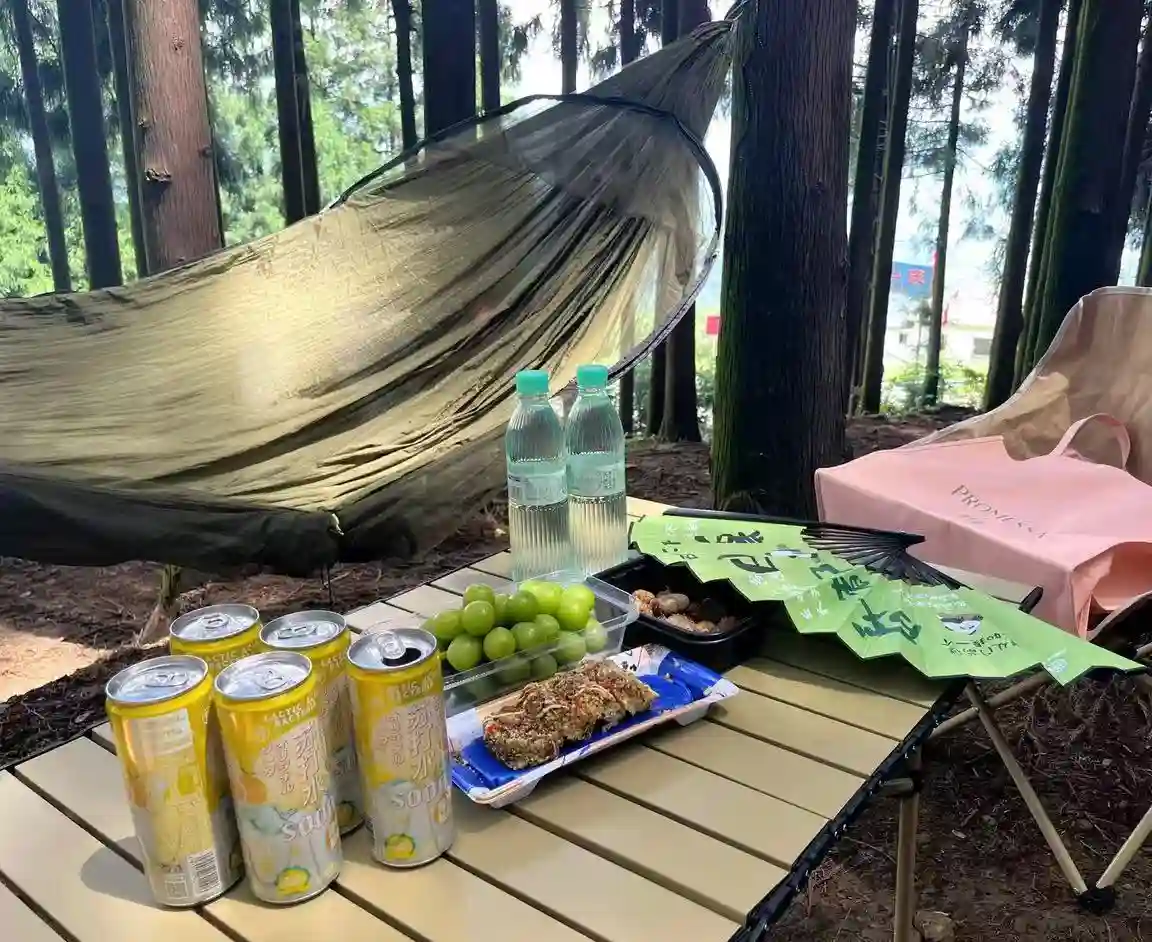 best hammock with mosquito net ever buy